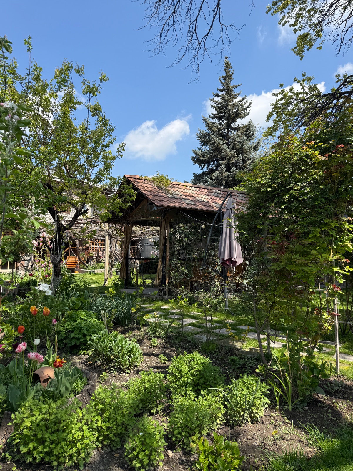 The garden of Norq Garden Gallery in Old Nork, Yerevan, in daylight